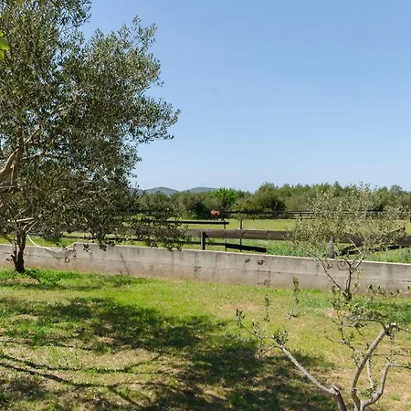 بيت للعطل House Hacienda *